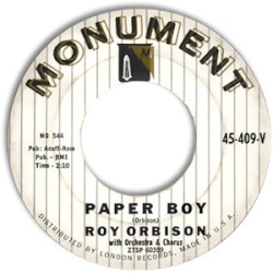 Paper Boy / With The Bug