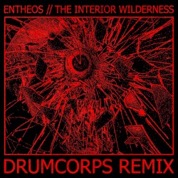 The Interior Wilderness (Drumcorps remix)