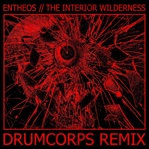 The Interior Wilderness (Drumcorps remix)
