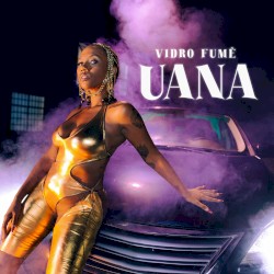 Vidro Fumê