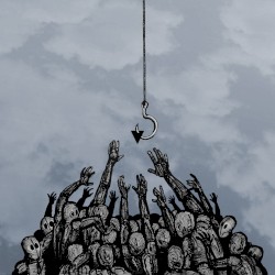 ▼