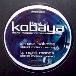 Best of Kobaya: David Moleon Remixes