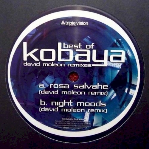 Best of Kobaya: David Moleon Remixes