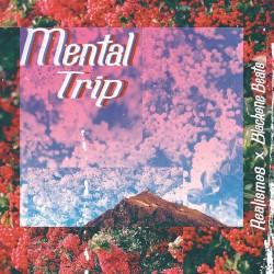 mental trip