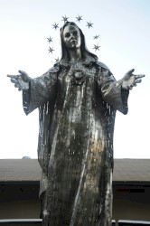 Propers for the Assumption of the Virgin
