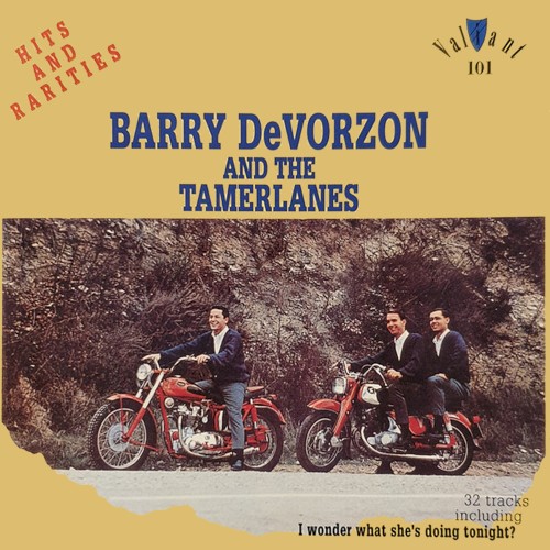 Hits and Rarities
