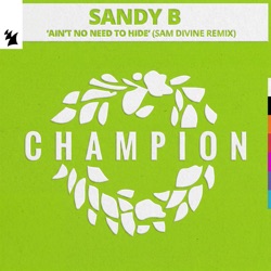 Ain't No Need to Hide (Sam Divine remix)