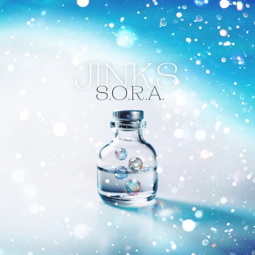S.O.R.A.