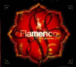 Flamenco New Grooves