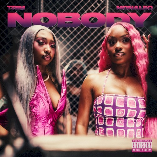 Nobody (remix)
