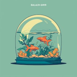Planted Aquarium
