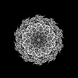 Seer