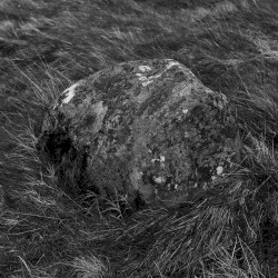 Stone