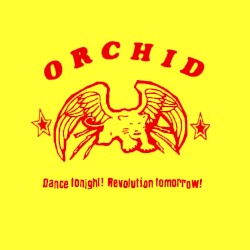 Dance Tonight! Revolution Tomorrow!