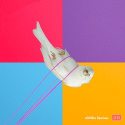 4000hz (remixes)