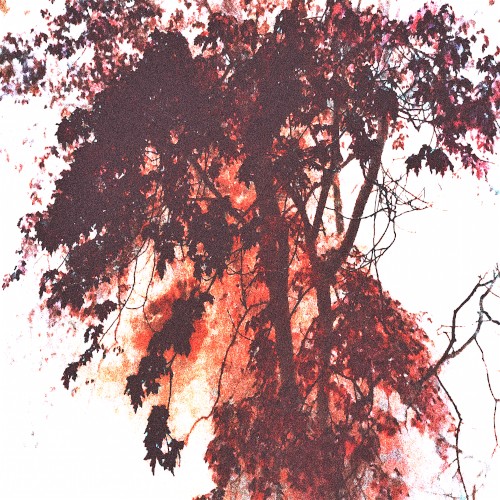 Kiss in October (2017)
