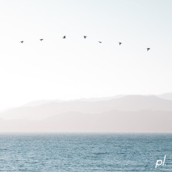 lost in translation
