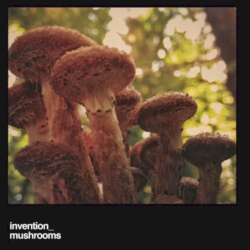 Mushrooms