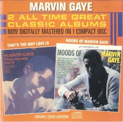 Moods of Marvin Gaye/That’s the Way Love Is