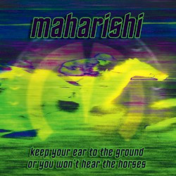 Keep Your Ear to the Ground or You Won’t Hear the Horses