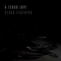 Black Feathers