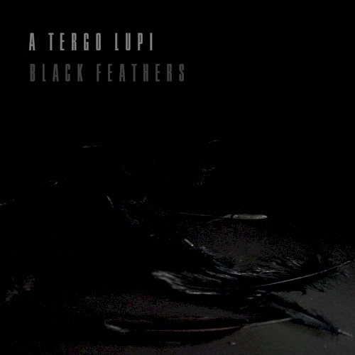 Black Feathers