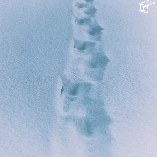 Snowy Walk
