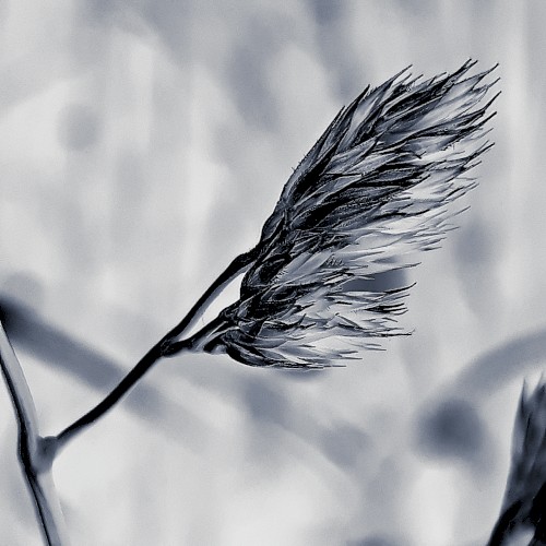 15 | 2