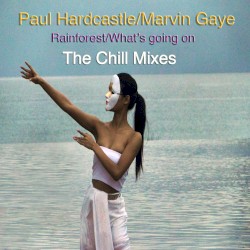 Rainforest/What's Going On (The Chill Mixes)