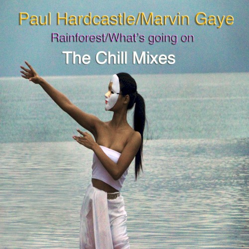 Rainforest/What's Going On (The Chill Mixes)