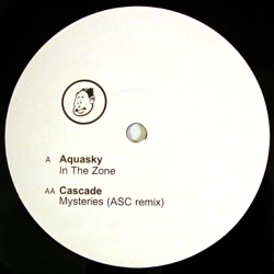 In the Zone / Mysteries