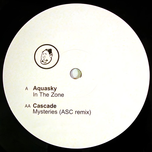 In the Zone / Mysteries