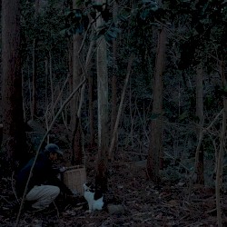 Izu Ambiento 031