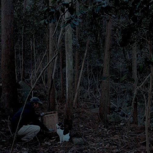 Izu Ambiento 031