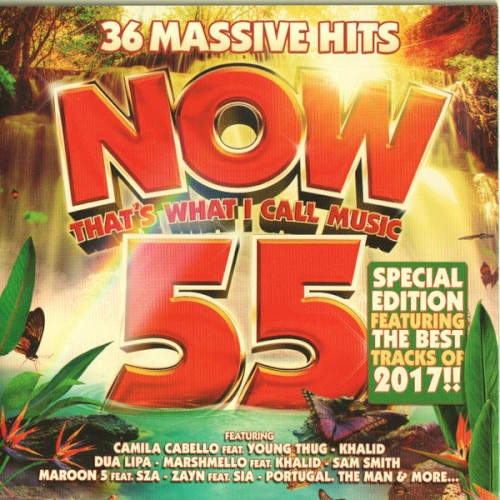 Now That’s What I Call Music 55