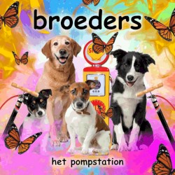 Broeders