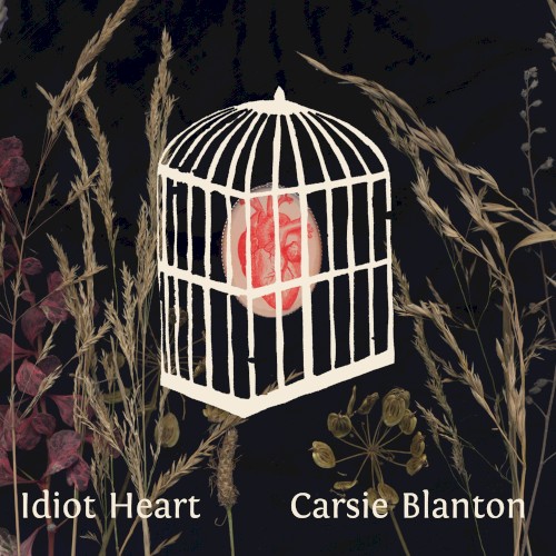 Idiot Heart