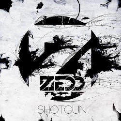 Shotgun