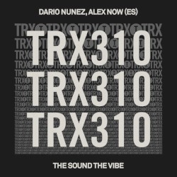 The Sound The Vibe