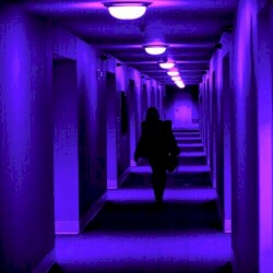 Lucid