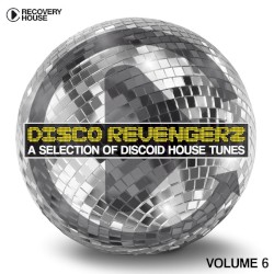 Disco Revengers, Vol. 6: Discoid House Selection