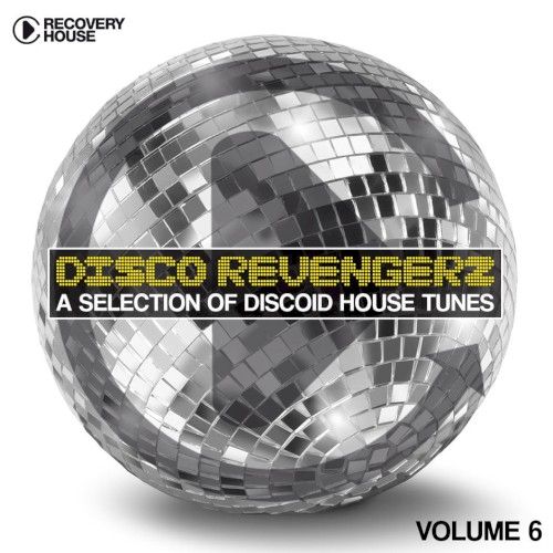 Disco Revengers, Vol. 6: Discoid House Selection