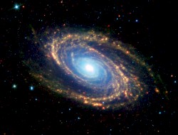 M81