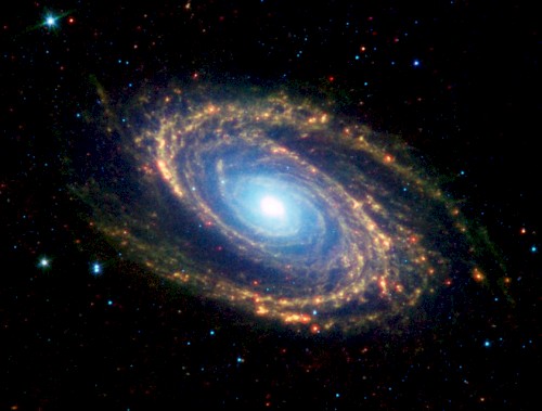 M81