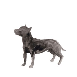 A Dog Called Money / I’ll Be Waiting