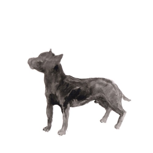 A Dog Called Money / I’ll Be Waiting