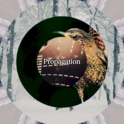 Propagation