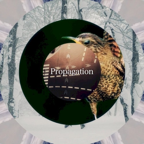 Propagation