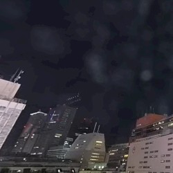 【LIVE(ＶＲ)】新宿猫の目線（新宿駅東口） ライブカメラ 7 watching now Started streaming on Jan 14, 2022