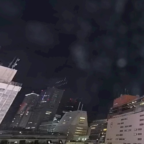 【LIVE(ＶＲ)】新宿猫の目線（新宿駅東口） ライブカメラ 7 watching now Started streaming on Jan 14, 2022